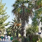 Grecotel Casa Paradiso