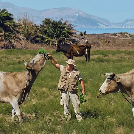 Grecotel Casa Paradiso Complex Marmari (Kos)