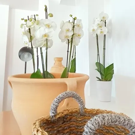 Complex Grecotel Casa Paradiso 4*