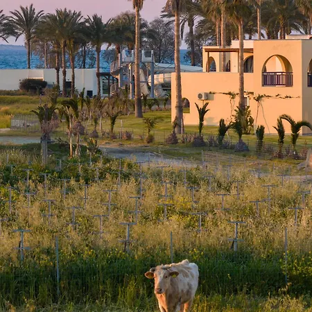 Grecotel Casa Paradiso 4*