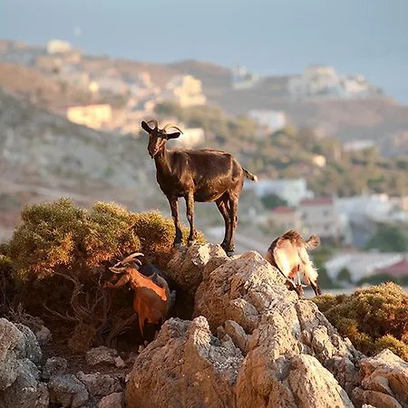 Grecotel Casa Paradiso מרמרי