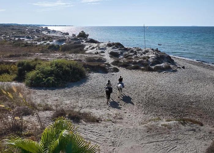 Grecotel Casa Paradiso Resort 4*