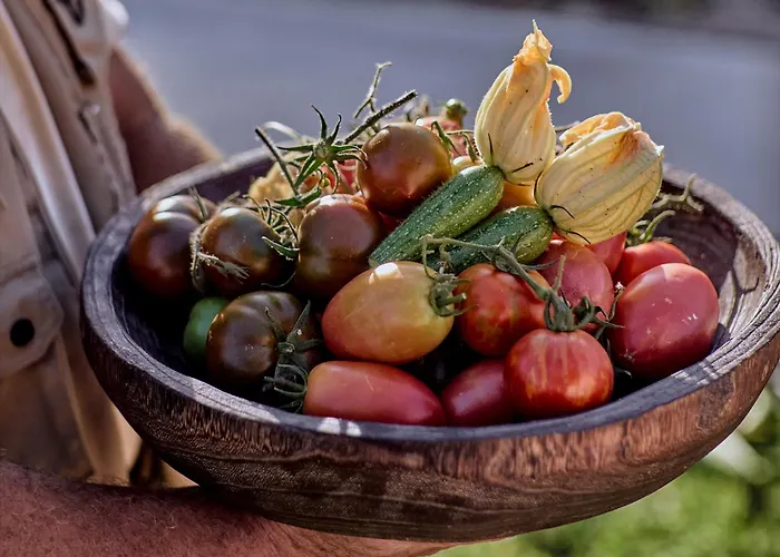 Grecotel Casa Paradiso 4* Marmari (Kos)