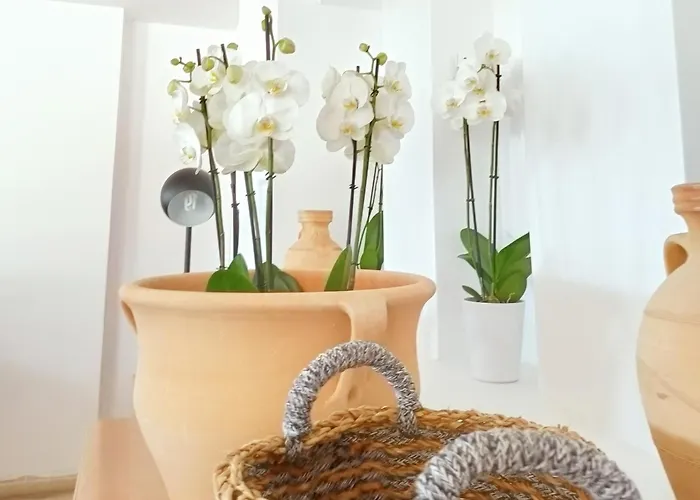 Ośrodek wypoczynkowy Grecotel Casa Paradiso 4*