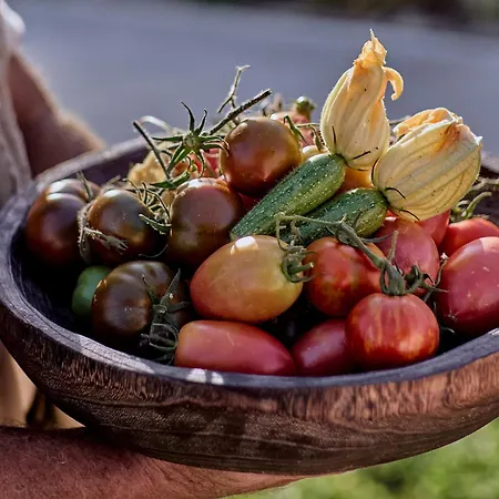 Grecotel Casa Paradiso 4* Marmari (Kos)