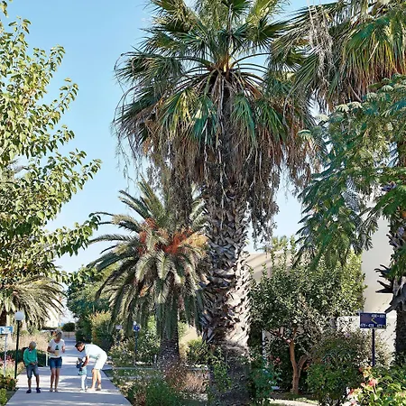 Casa Paradiso