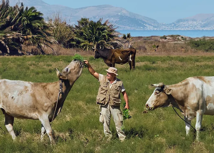 Grecotel Casa Paradiso منتجع مارماري