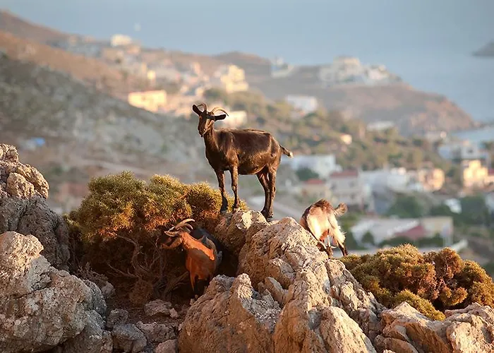 Grecotel Casa Paradiso مارماري